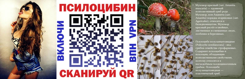 Галлюциногенные грибы ЛСД  где купить наркотик  Красавино 